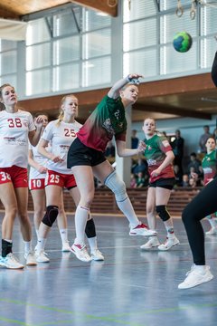 Bild 60 - F HSG Kremperheide/Muensterdorf - Slesvig IF 2 : Ergebnis: 30:26